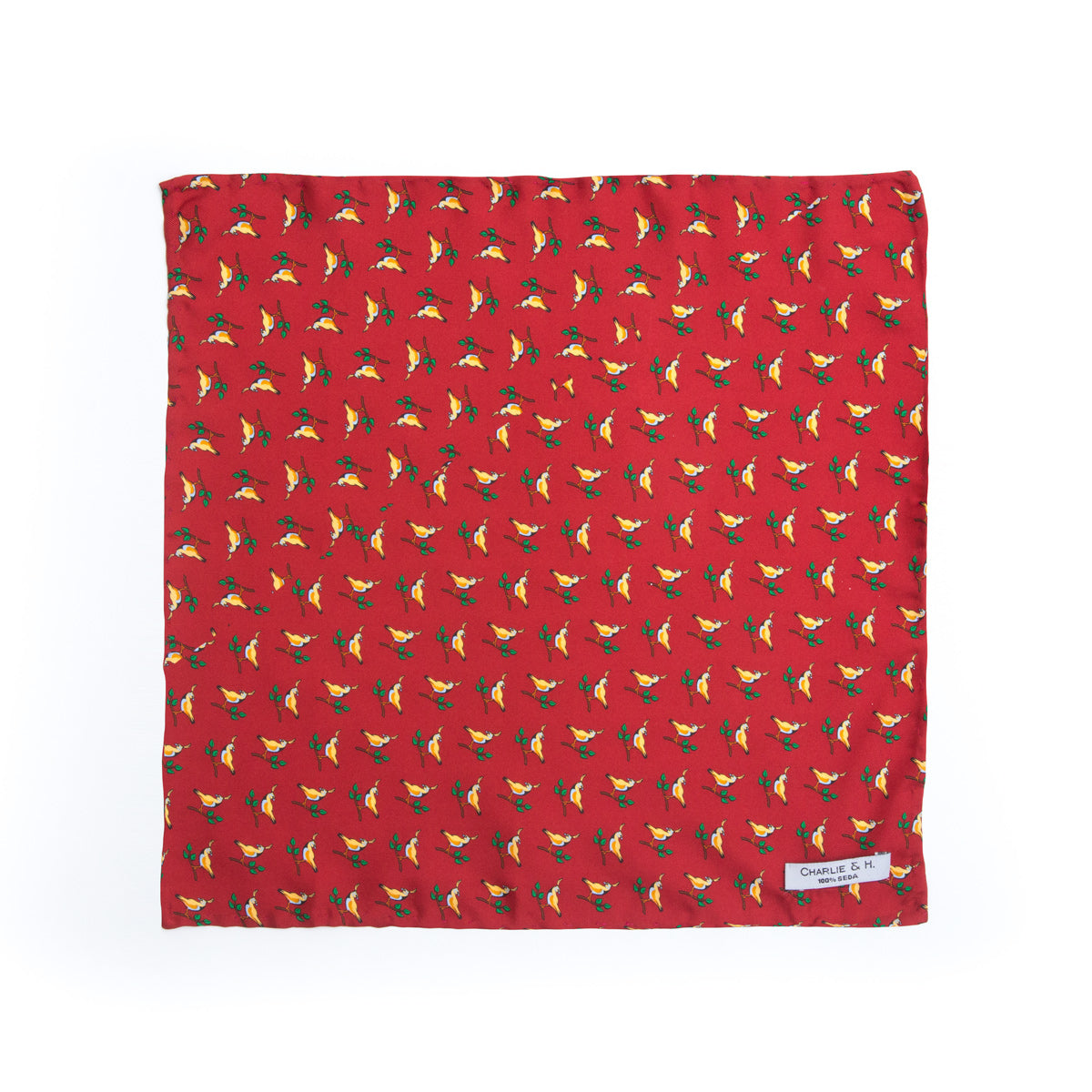 Pañuelo ave exótica - Charlie and H