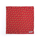 Pañuelo ave exótica - Charlie and H