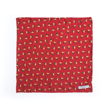 Pañuelo ave exótica - Charlie and H