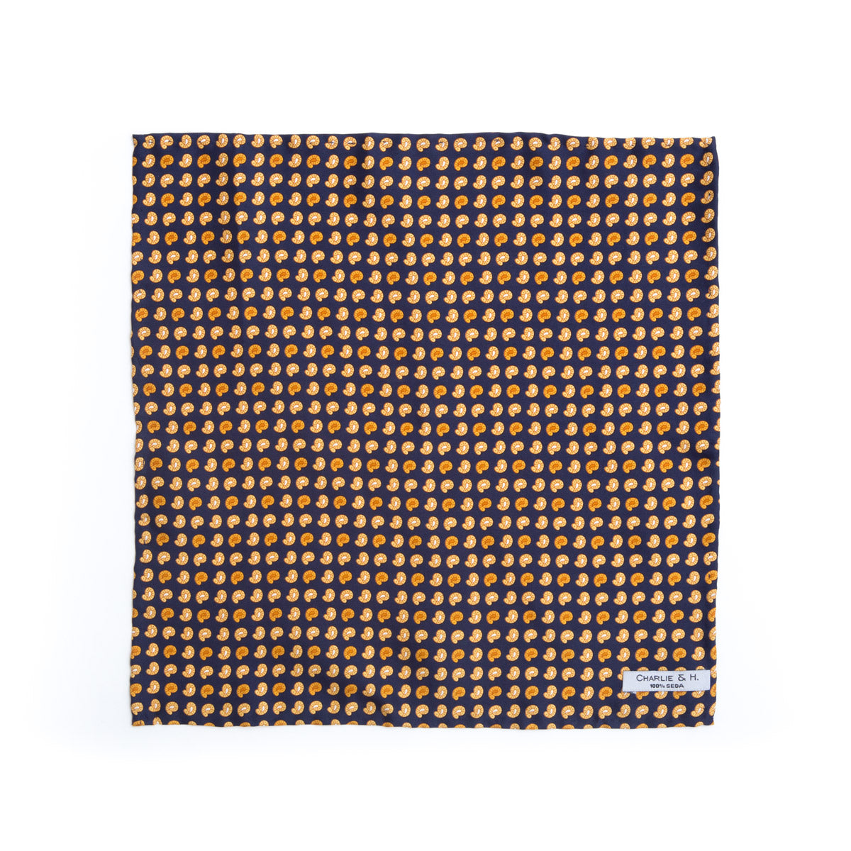 Pañuelo paisley azul - Charlie and H