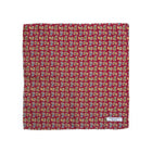 Pañuelo paisley burdeo - Charlie and H