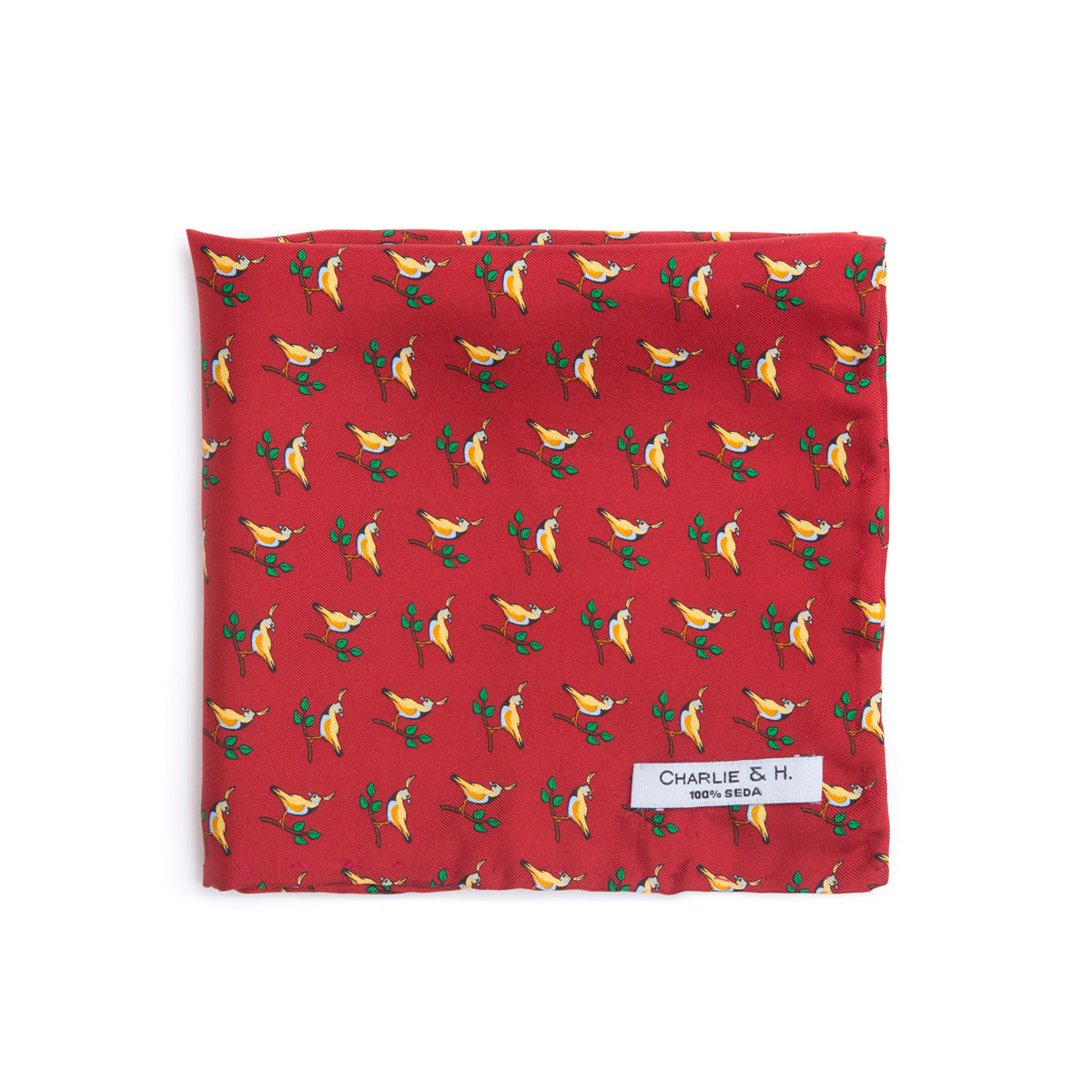 Pañuelo ave exótica - Charlie and H