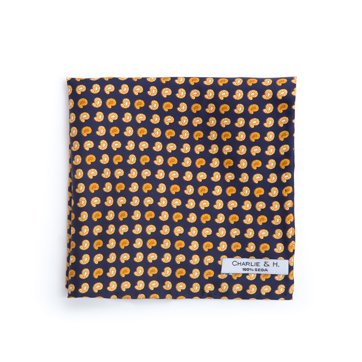 Pañuelo paisley azul - Charlie and H