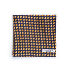 Pañuelo paisley azul - Charlie and H