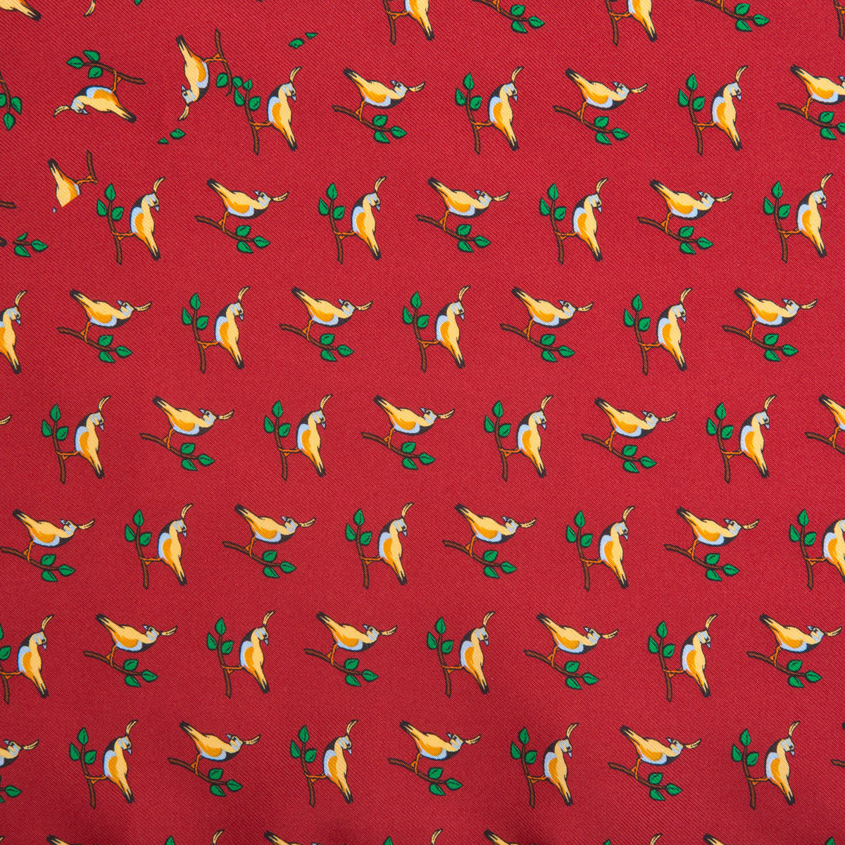 Pañuelo ave exótica - Charlie and H