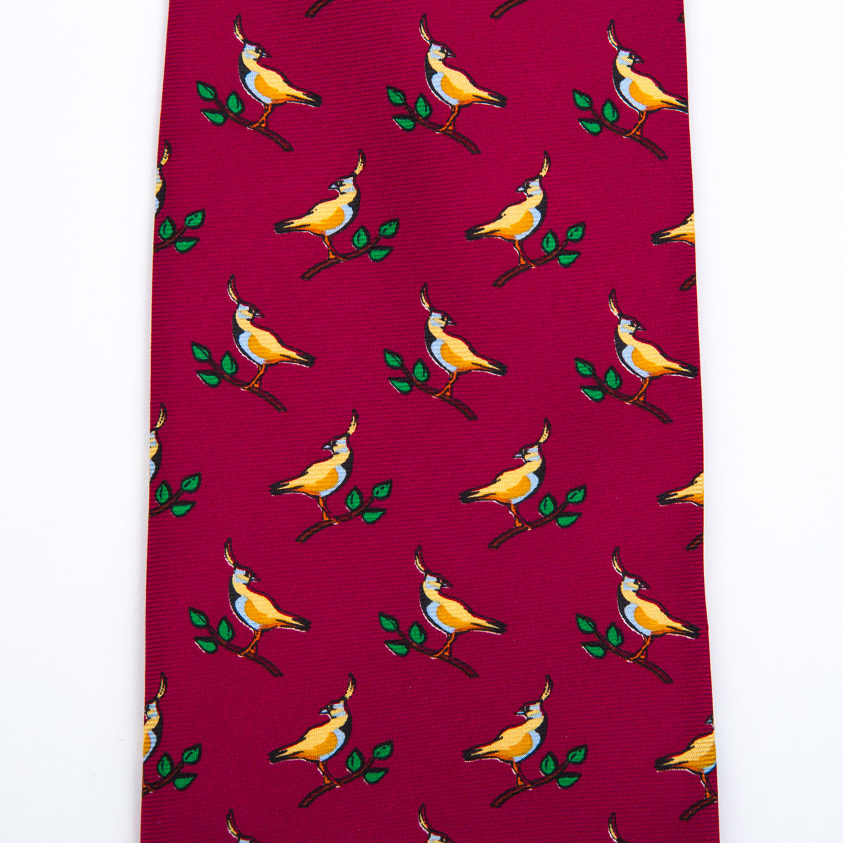 Corbata fantasía ave exótica - Charlie and H